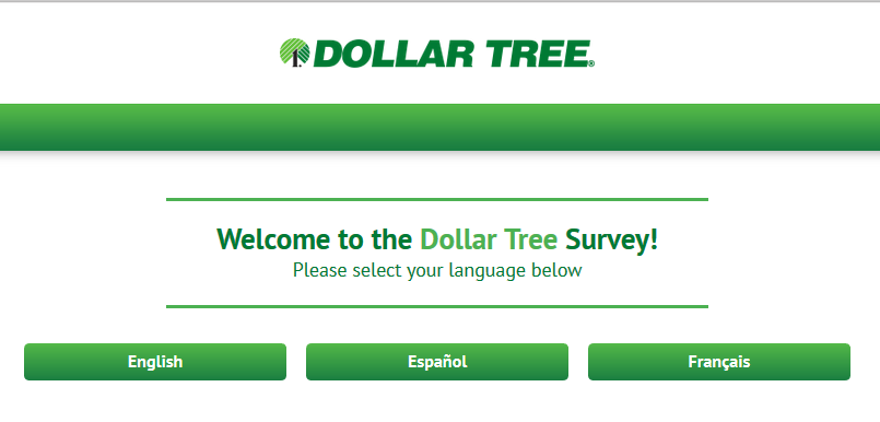 dollartreefeedback