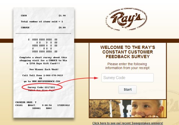 Ray Feedback Survey